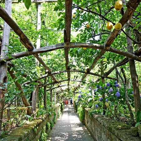I Giardini Di Cataldo Sorrento-2